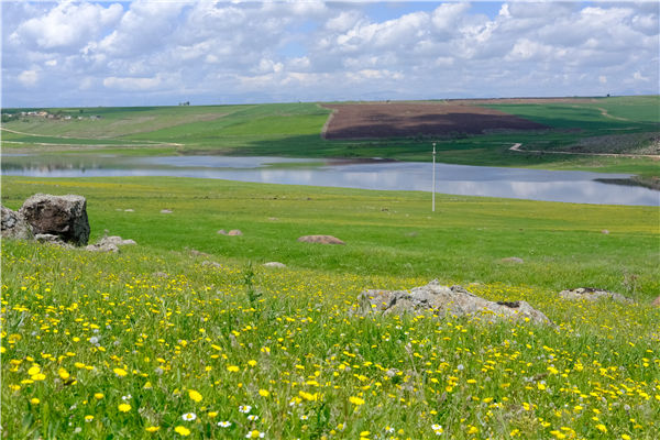 土壤水分溫度測定儀 土壤水分溫度測定儀